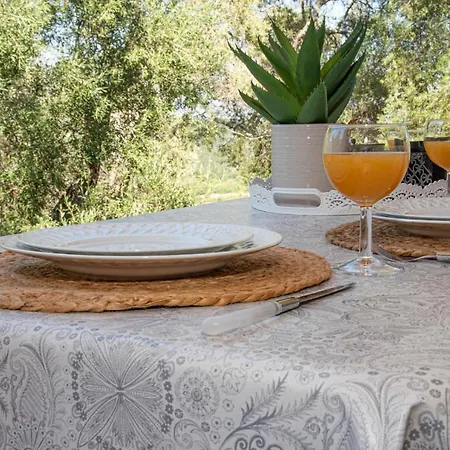Casa vacanze Corfu Cicada House Liapades