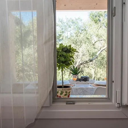 Σπίτι διακοπών Corfu Cicada House *